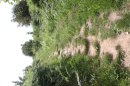 Sentier des douaniers entre les Dalles